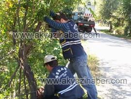 ŞEDAŞ EKİPLERİ BUDAMA'DA