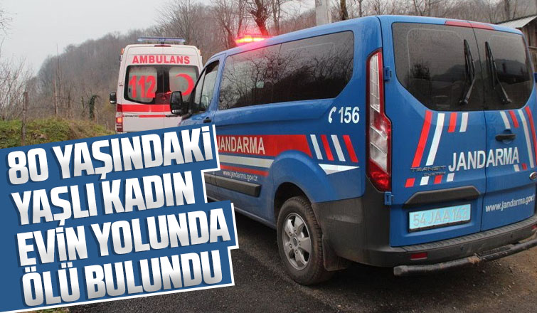 80 yaşındaki yaşlı kadın evinin yolunda ölü bulundu