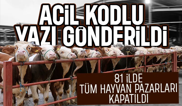 81 ilde tüm hayvan pazarları kapatıldı