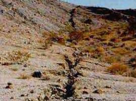 FAY HATLARI KORUMA BANTLARI KÜÇÜLÜYOR