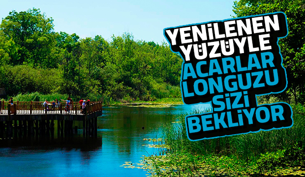 Acarlar longoz yeni yüzüyle açıldı