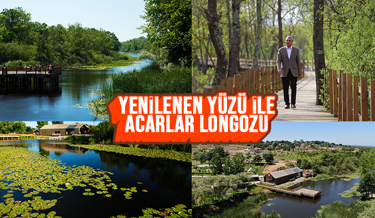 Acarlar Longozu yenilenen yüzüyle kapılarını açıyor