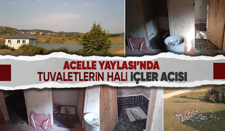 Acelle Yaylası'nda tepki çeken görüntü