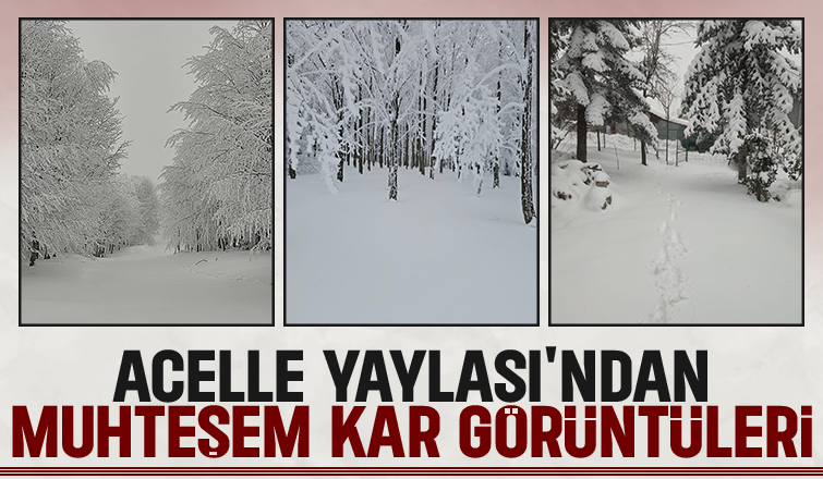 Acelle Yaylası'ndan kar fotoğrafları