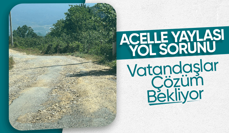 Acelle Yaylası Yol Sorunu