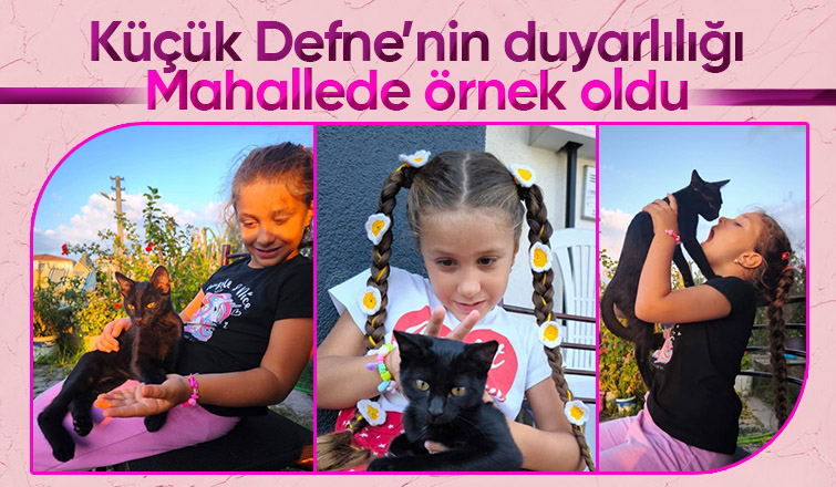 Açlıktan ölmek üzere olan kediyi kurtardı