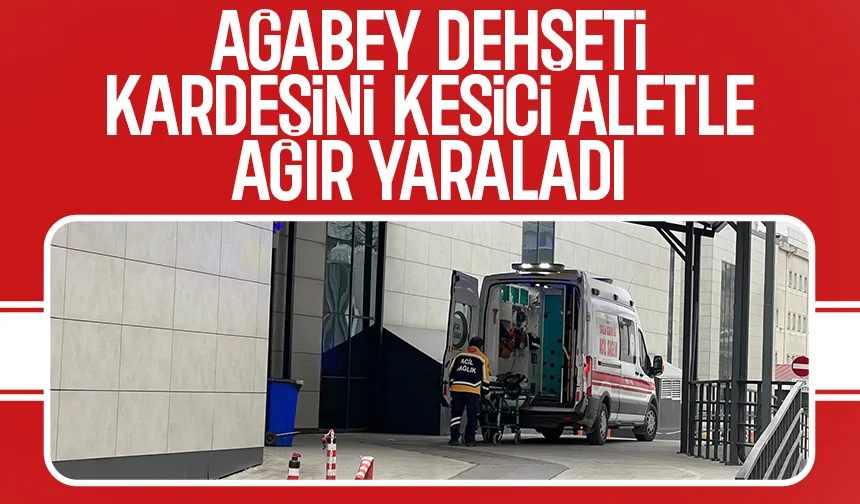 Ağabey dehşet saçtı