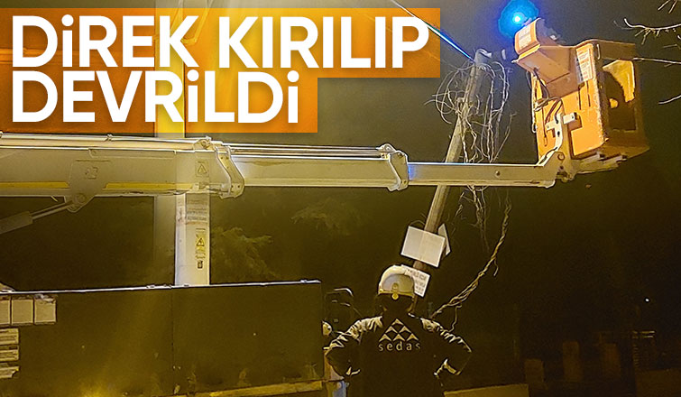 Ağaç direk devrildi