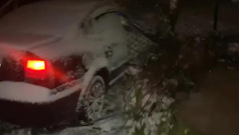 Ağaç hayatlarını kurtardı