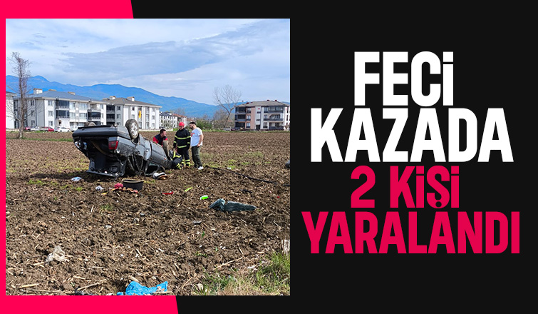 Ağaca çarpan araçtaki 2 kişi yaralandı