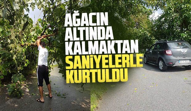 Ağacın altında kalmaktan son anda kurtuldu