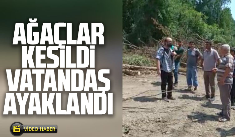 Ağaçlar kesildi vatandaş ayaklandı