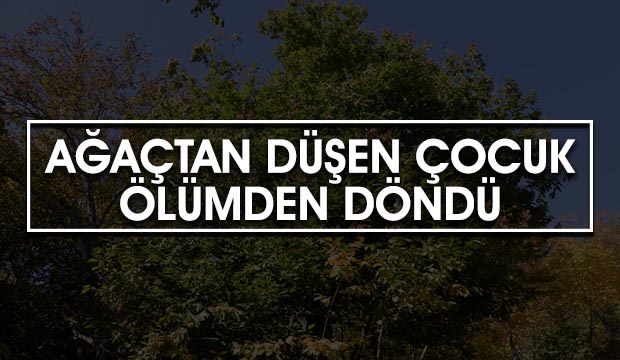 Ağaçtan düşen çocuk Ölümden döndü