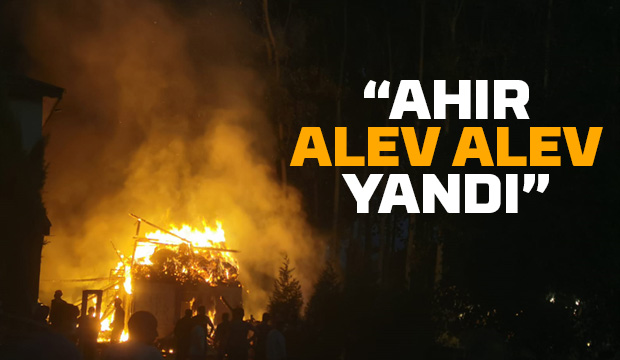 Ahır alevlere teslim oldu