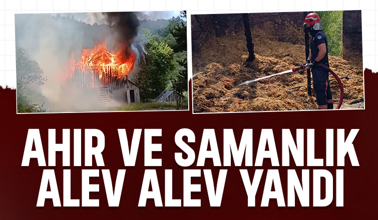 Ahır ve samanlık kül oldu