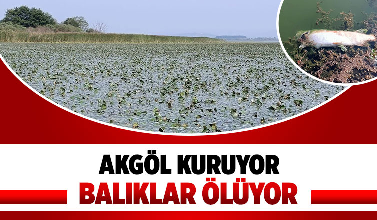 Akgöl can çekişiyor