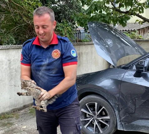 Akyazı 1 Nolu Sağlık Ocağı’nda Kedi Operasyonu: Arabadan Arabaya Kaçtı, Sonunda Doğaya Salındı!
