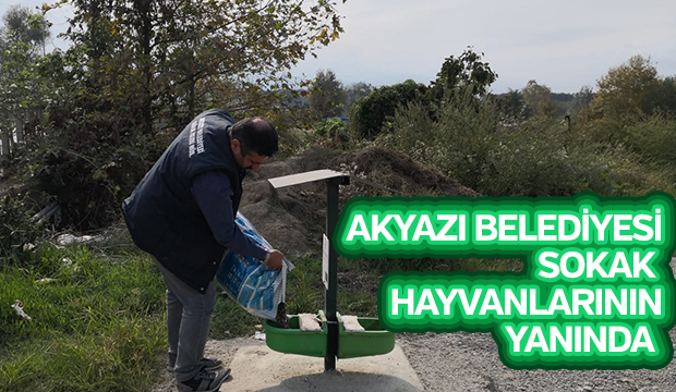 AKYAZI BELEDİYESİ SOKAK  HAYVANLARININ YANINDA 