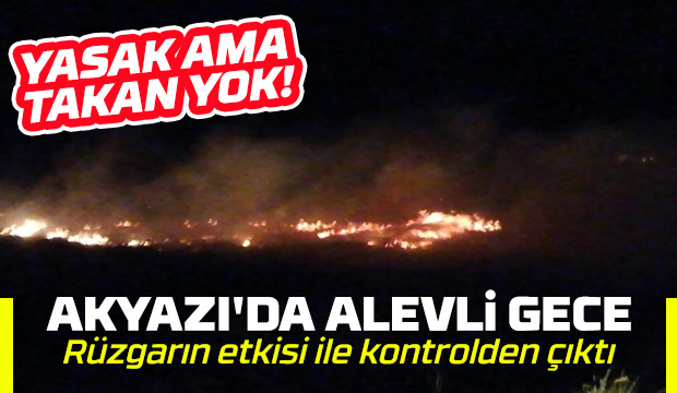 Akyazı'da 4 mahallede yangın paniği