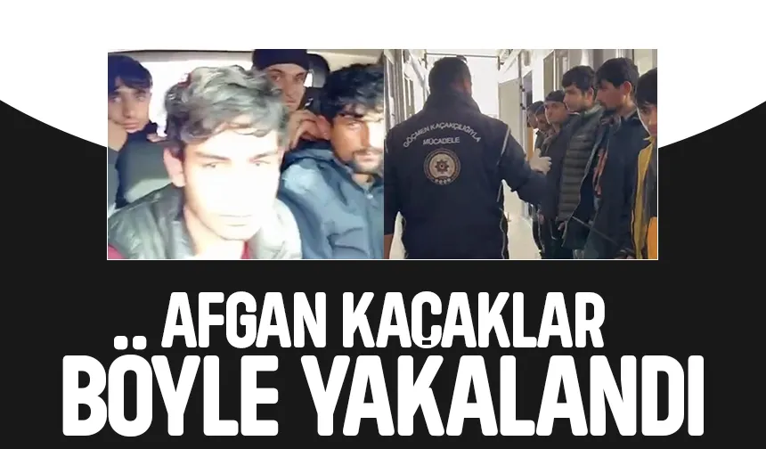 Akyazı'da 7 Afgan kaçak yakalandı