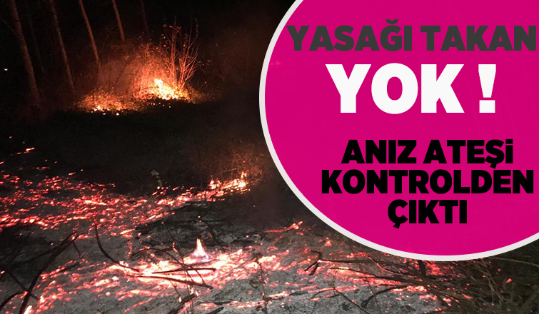 Akyazı'da anız ateşi ağaçları kül edecekti