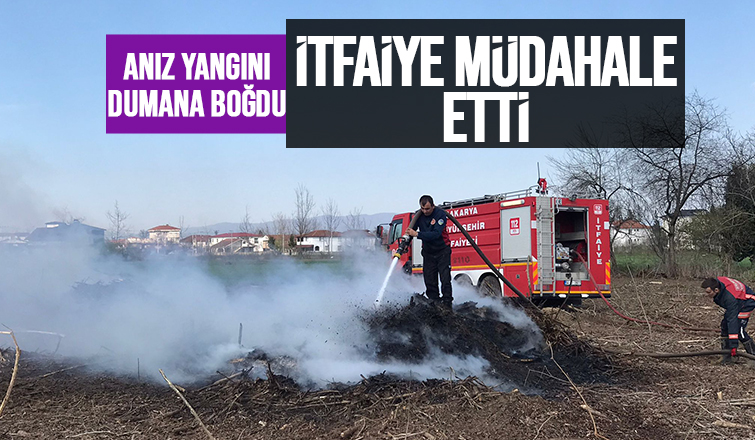 Akyazı'da anız yangını