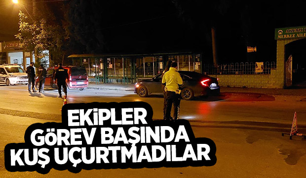 Akyazı'da asayiş ve trafik uygulaması