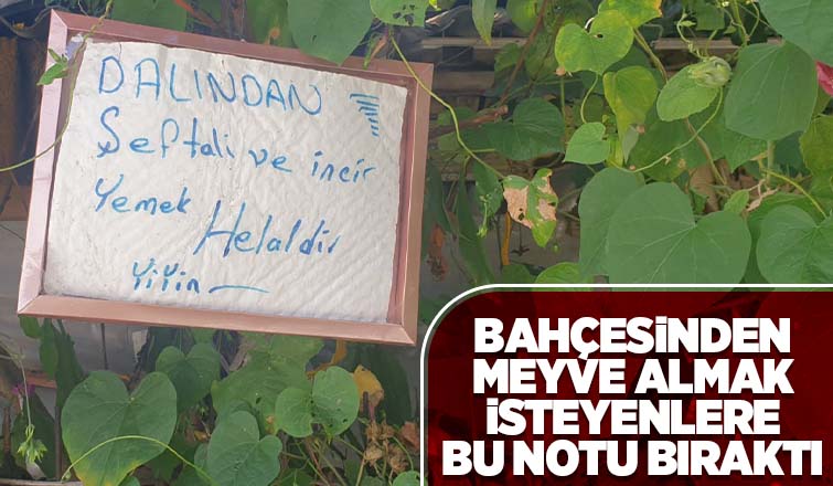 Akyazı'da bahçe sahibinden örnek davranış