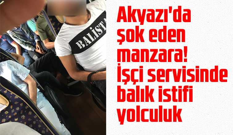 Akyazı'da balık istifi yolculuk! Korona servisi