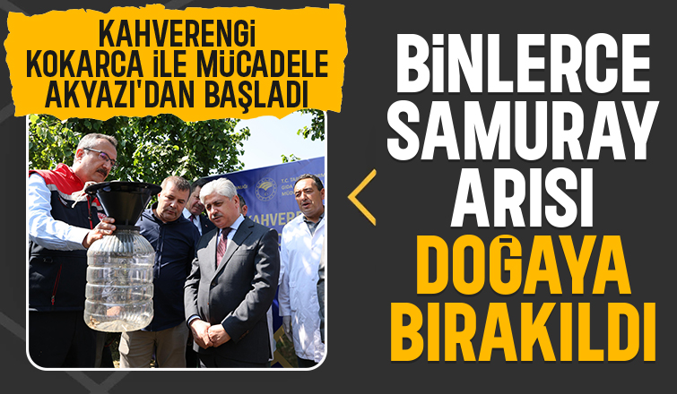 Akyazı'da binlerce samuray arı doğaya bırakıldı