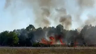 Akyazı'da çalılık yangını