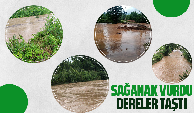 Akyazı'da dereler taştı