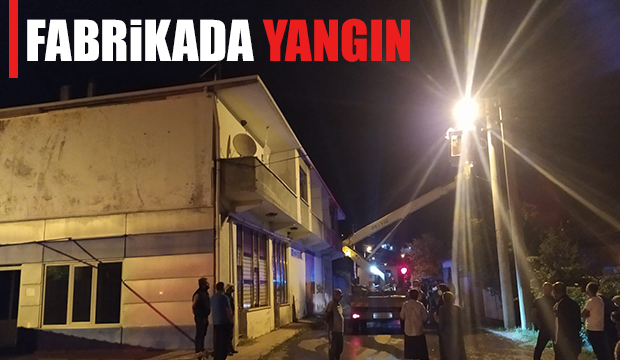 Akyazı'da fabrikada yangın