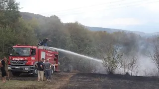 Akyazı'da fındıklık yangını