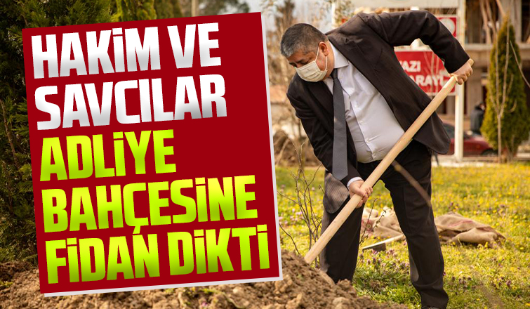 Akyazı'da hakim ve savcılar adliye bahçesine fidan dikti