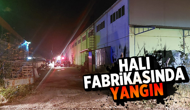 Akyazı'da halı fabrikasında yangın