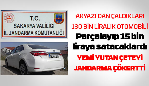 Akyazı'da hırsızlık çetesini jandarma çökertti