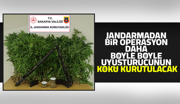 Akyazı'da jandarma operasyonu