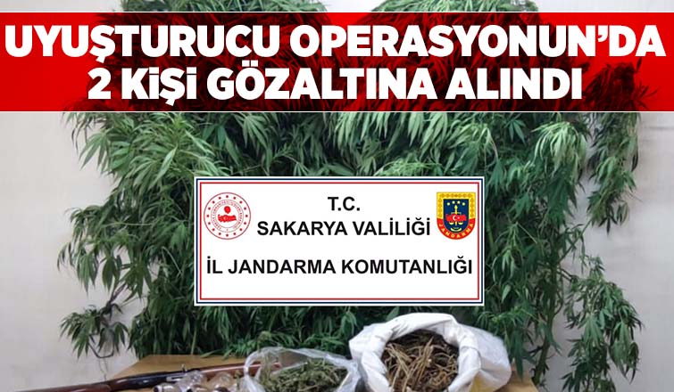 Akyazı'da jandarma uyuşturucu operasyonu 