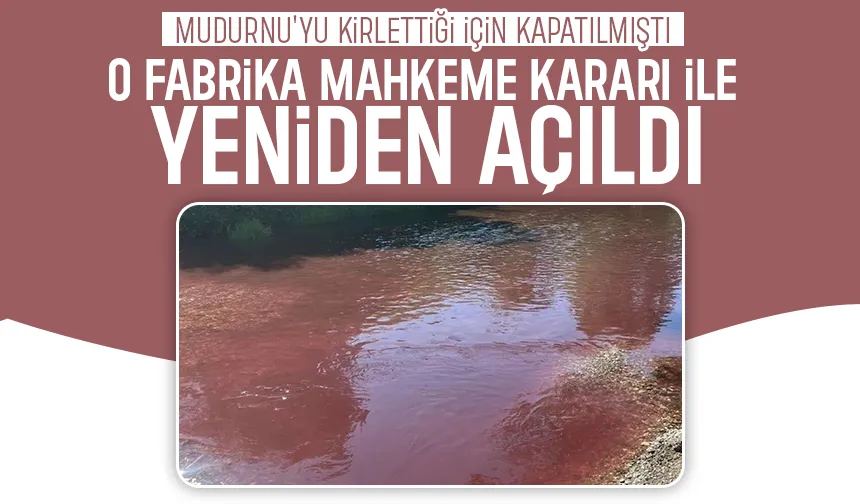 Akyazı'da kapatılan fabrika yeniden açıldı
