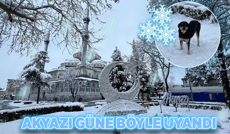 Akyazı'da kar etkili oluyor