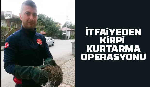 Akyazı'da kirpi kurtarma operasyonu