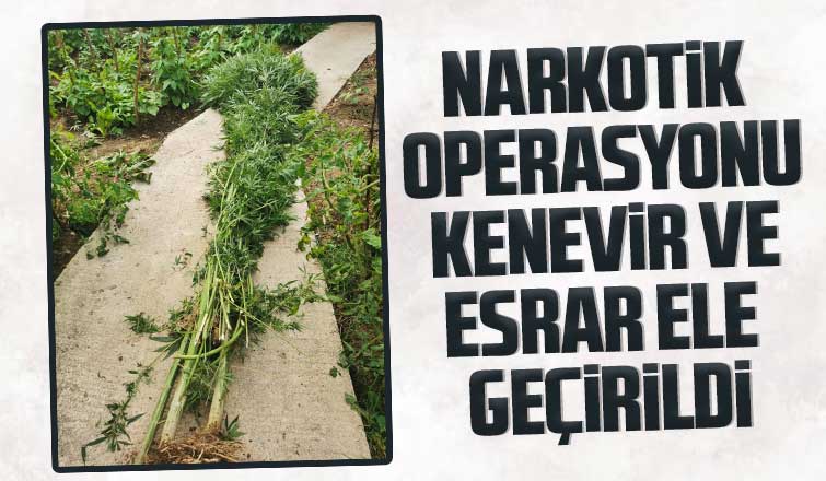 Akyazı'da narkotik operasyonu