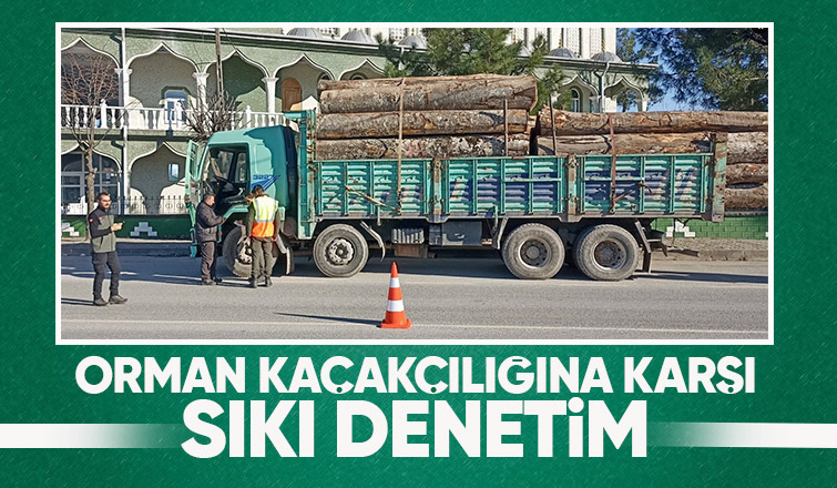 Akyazı da orman kaçakçılığı denetimi