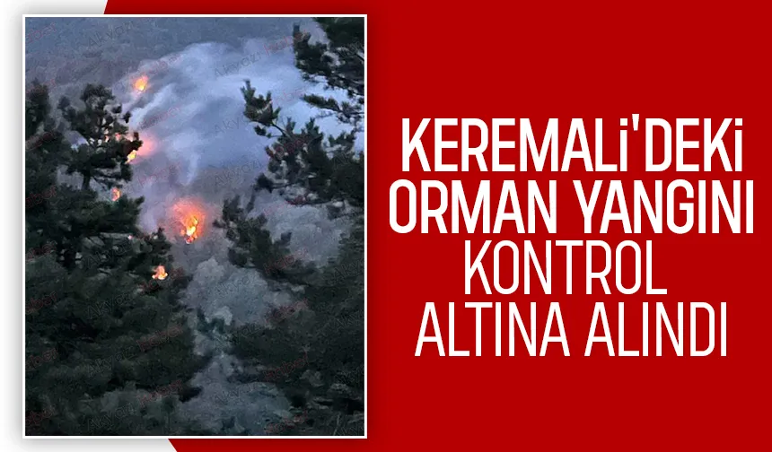 Akyazı'da orman yangını kontrol altına alındı