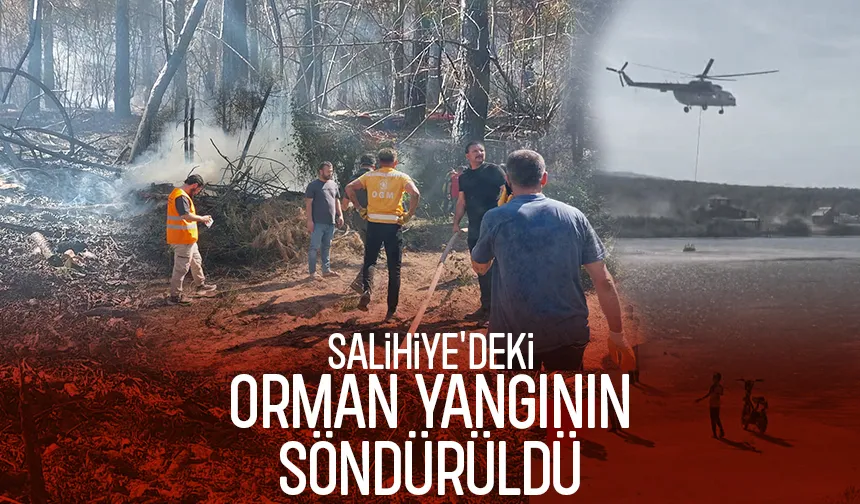 Akyazı'da orman yangını söndürüldü