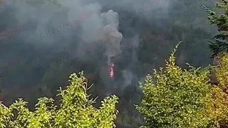 akyazı'da orman yangını