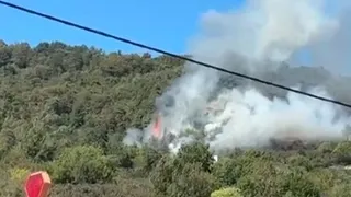 Akyazı'da orman yangını