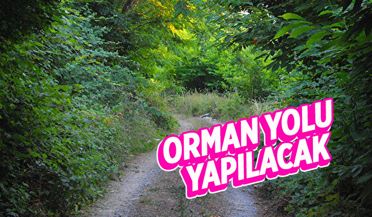 Akyazı'da orman yolu yapılacak
