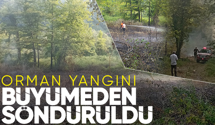 Akyazı'da ormanlık alanda yangın